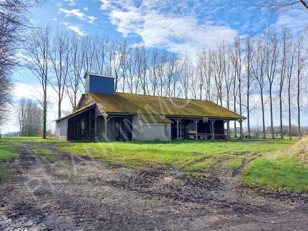 corps de ferme 9 pièces en vente sur NORMANVILLE (76640)